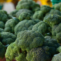 La forma de obtener las semillas del brócoli y sembrar los tuyos propios en tierra o maceta