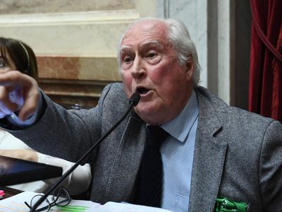 "Será ley, contra viento y marea": el recuerdo del discurso de Pino Solanas por la IVE