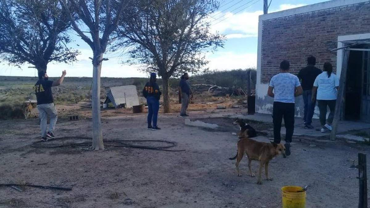 Operativo de rescate en una chacra de Viedma. Fuente: (Twitter)