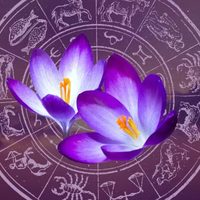 La energía de la primavera sacude al Zodíaco: el Horóscopo revela lo que vivirá cada signo