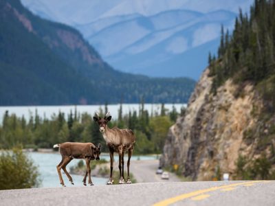 Tras años de inundación, una región de Canadá sufre una catastrófica sequía