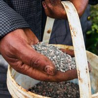 Guerra en Medio Oriente provoca escasez mundial de fertilizantes y amenaza precios de alimentos