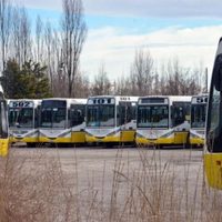 Autobuses Neuquén: denuncian el estado deplorable de las unidades y condiciones inhumanas de trabajo