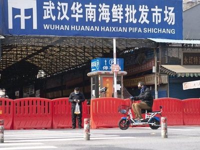 Investigadores confirman que el covid-19 se originó en el mercado de animales vivos de Wuhan