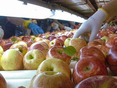 Neuquén quieren mejorar la comercialización de productos regionales