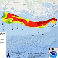 La "zona muerta" del Golfo de México cae un 21% menos de lo previsto