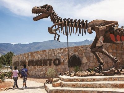 Museo del Desierto Patagónico de Añelo inaugura una muestra de las lagartijas endémicas