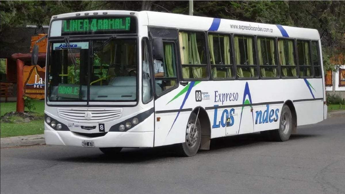 San Martín de los Andes busca financiar el transporte con una tasa a la venta de combustibles. Fuente: (Diario 7 Lagos)