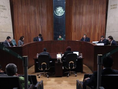 El TEPJF ratifica negativa a Grupo Social Promotor de México como partido