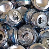 No tires las latas de cervezas: creá estas macetas súper coquetas para tus minisuculentas