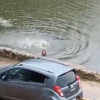 Así se salvó un hombre de ser atacado por cocodrilos en laguna de Villahermosa (Video)