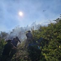 Más de 225 personas trabajan en la contención del incendio en el Parque Nacional Nahuel Huapi en condiciones climáticas adversas
