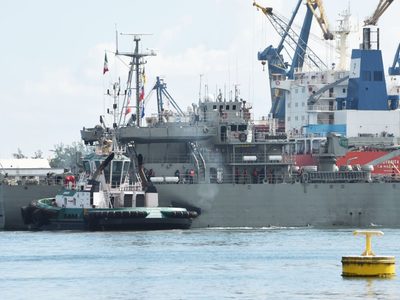 Ambientalistas piden a la SCJN cancelar la ampliación del Puerto de Veracruz