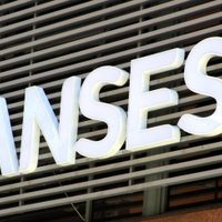 ANSES: cómo finaliza el calendario de pagos de noviembre e inicia el de diciembre