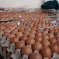No tires el maple de huevos: creá esto tan práctico y útil para usar en tu cocina