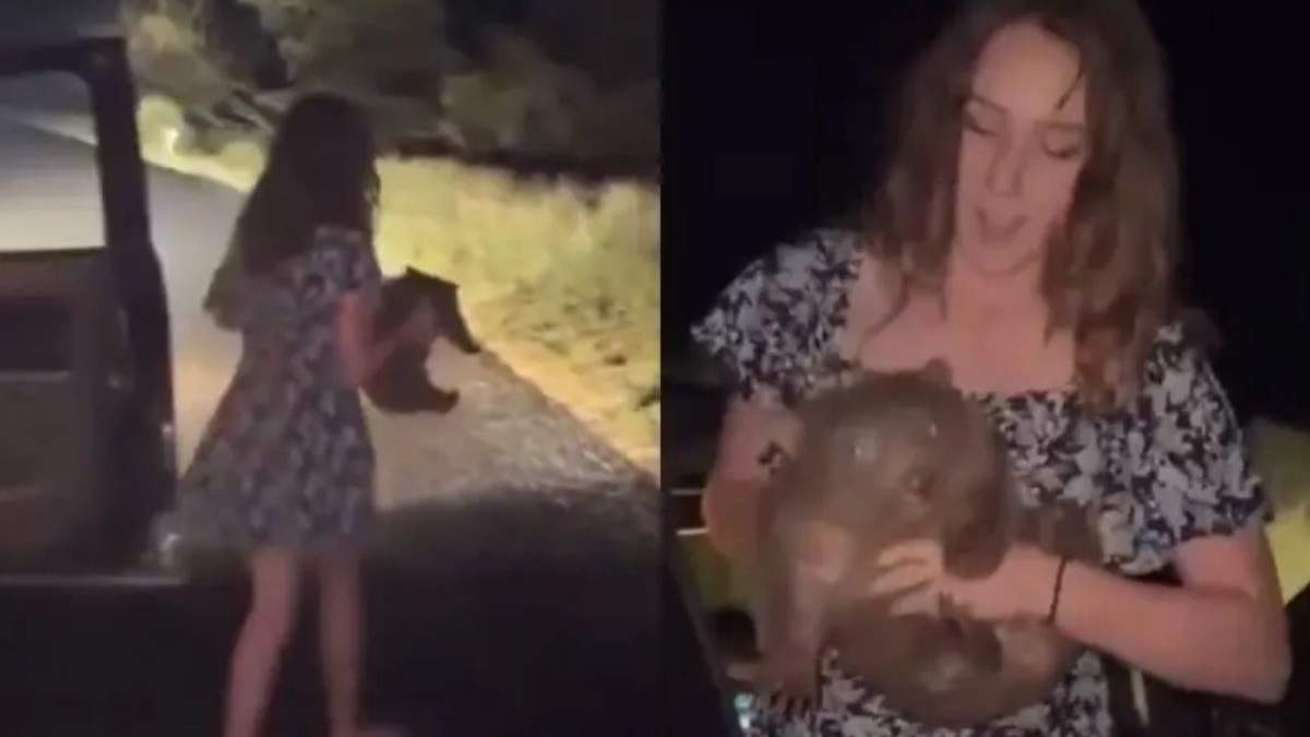 Influencer estadunidense que arrebató una cría de wombat a su madre en Australia se disculpa