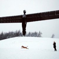 Fuertes nevadas causan interrupciones generalizadas en Reino Unido y Alemania