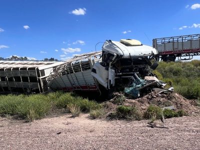 Volcó un camión con 65 vacas en Las Catitas