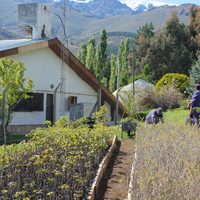En cuarentena, los viveros provinciales venden sus productos por catálogo