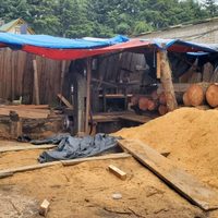 Clausuran aserradero ilegal en Huitzilac, Morelos; aseguran madera y maquinaria