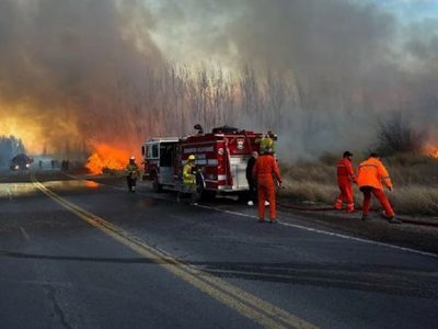 La municipalidad aplicará fuertes multas a los responsables del incendio intencional en la ciudad