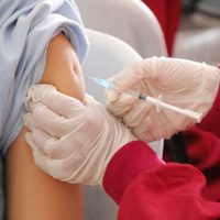 Comenzó la vacunación contra el dengue en la provincia de Buenos Aires
