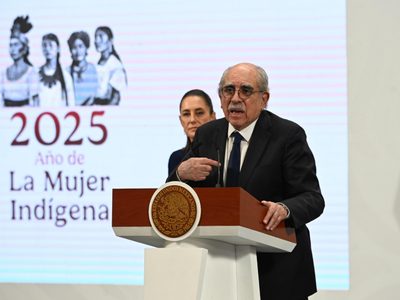 Pablo Gómez presenta plan para la reforma electoral