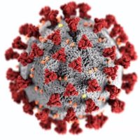 Este es el nuevo virus descubierto capaz de infectar como el SARS-CoV-2