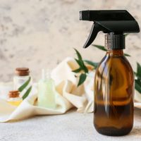 Sin gastar un peso: aromatizante de almohada casero y natural con 2 plantas que son un verdadero tesoro