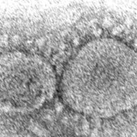 Origen del covid-19 sigue siendo un misterio