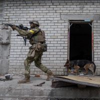 Ucrania afirma haber matado a cerca de 28 mil 700 militares de Rusia desde el inicio de la guerra