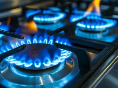 Para Darío Martínez el gas va a aumentar un 600% pese a la continuidad de la Zona Fría