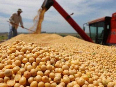 Nueva baja de retenciones al campo: cómo quedan los derechos de exportación para soja, maíz y trigo