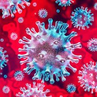 Coronavirus en Neuquén: hay 9 nuevos casos sospechosos y ningún caso confirmado