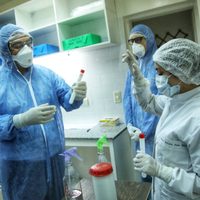"Alerta máxima": un rebrote de coronavirus pone en apuros a Corrientes