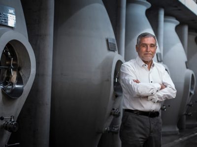 El fallo Zuccardi y el realismo jurídico