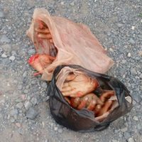 Les cortan las manos a seis presuntos ladrones en Tlaquepaque