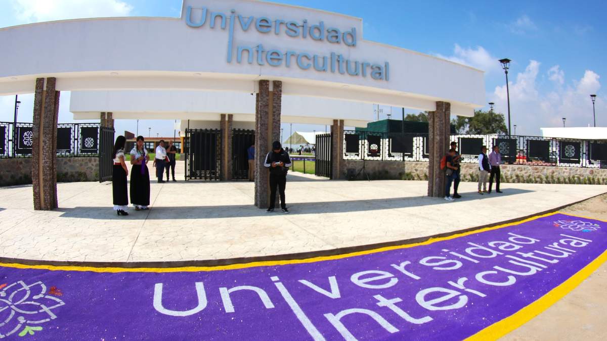 Esta es la oferta académica de las Universidades para el Bienestar Benito Juárez