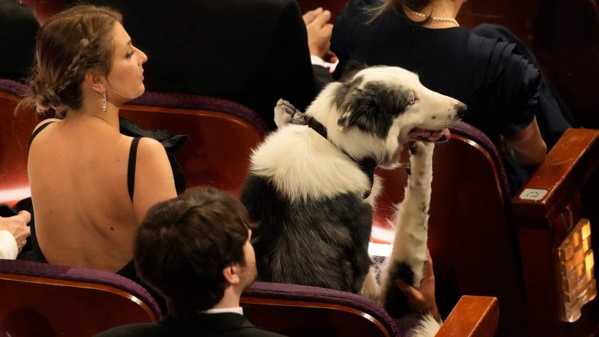 E perro de la película “Anatomie d’une chute” (“Anatomía de una caída”) durante los Oscar