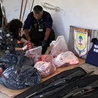 Un empleado de Corfone fue imputado por realizar caza furtiva junto a otros dos hombres