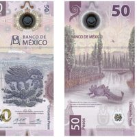 Billete de 50 pesos recibe reconocimiento como más bonito del mundo, es el segundo año consecutivo