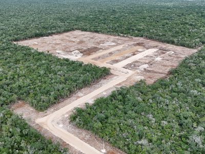 Profepa suspende la construcción de granja avícola en Kinchil, Yucatán
