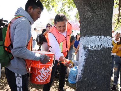 Congreso de Puebla apruba Ley de arbolado "fast track"; ambientalistas señalan capricho de Armenta