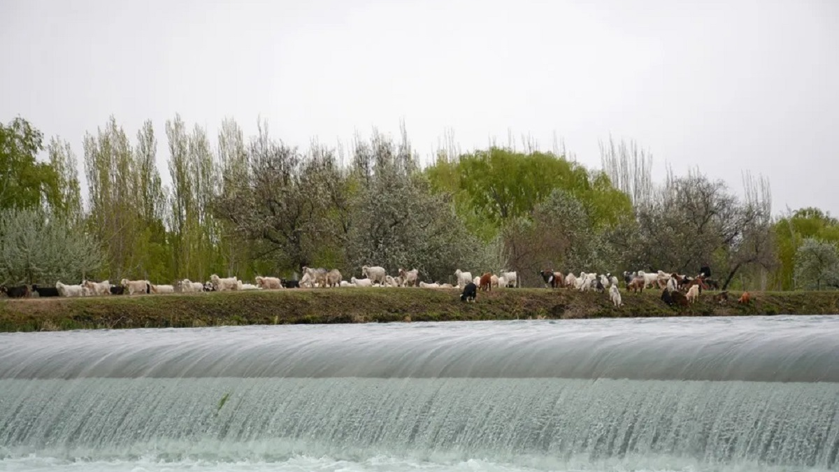 Patagonia. Fuente: (Emiliana Cantera)