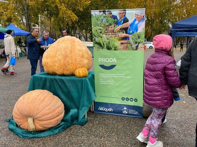 Un zapallo de 100 kilos ganó el concurso de PRODA