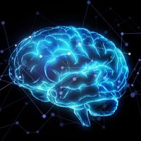 Resuelto el enigma del tamaño del cerebro y la singularidad humana