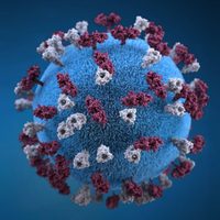 Atención Neuquén: se confirmaron 18 nuevos casos positivos de coronavirus