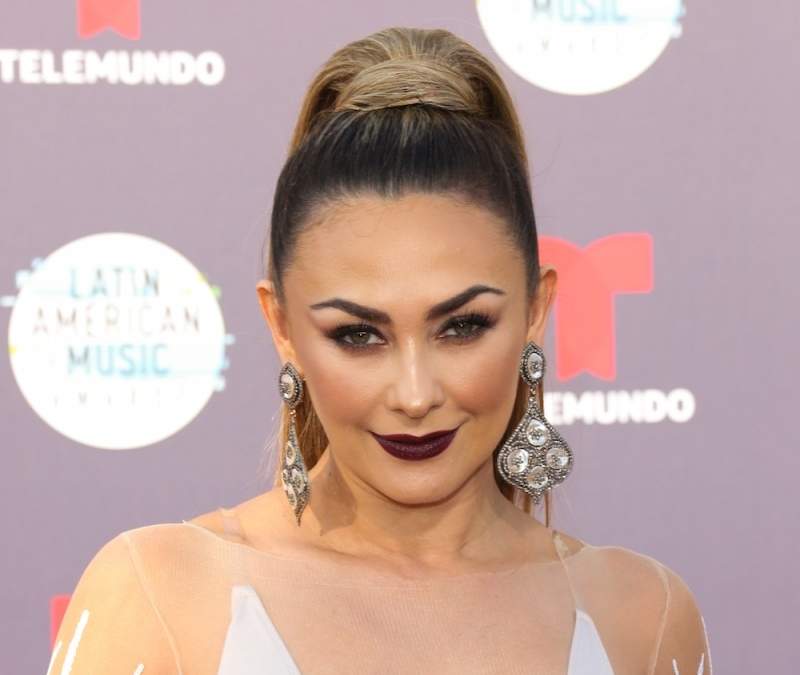Aracely Arámbula. Fuente: (Twitter)