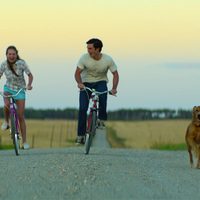 'La razón de estar contigo”: canes y existencialismo