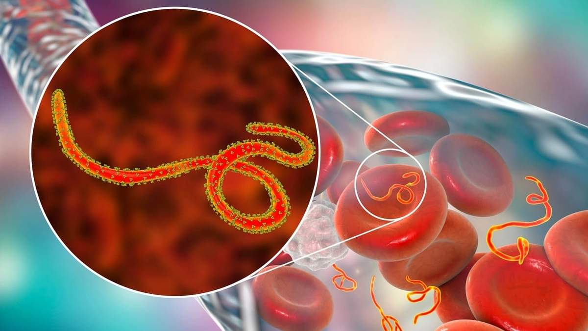 Activan protocolos por ébola en Argentina por embarcaciones provenientes de zonas de riesgo